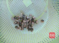 桂圆菊花茶的做法图解3