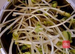 五彩豆芽菜土豆丝的做法图解2