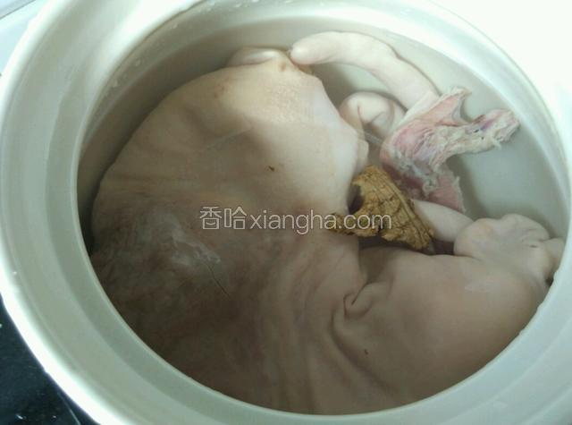 把排骨装进猪肚里，放砂锅，加姜块，少许料酒，加足水，开锅后转最小火慢炖一小时。加入莲子再炖一小时。