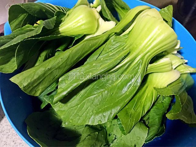 青菜切去根部 拨开洗净 沥干水分