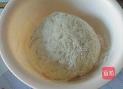 卷心菜包子的做法图解2