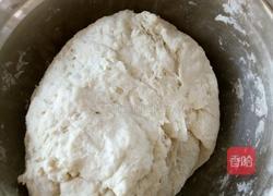 酱肉包的做法图解1