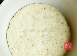 芒果油酥饼的做法图解3