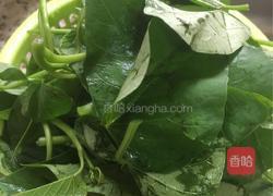 蒜蓉炒番薯叶的做法图解1