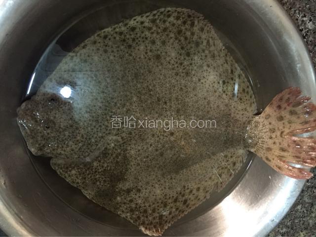 多宝鱼一条让卖鱼的收拾干净，回家只要用清水冲洗干净无血水即可

