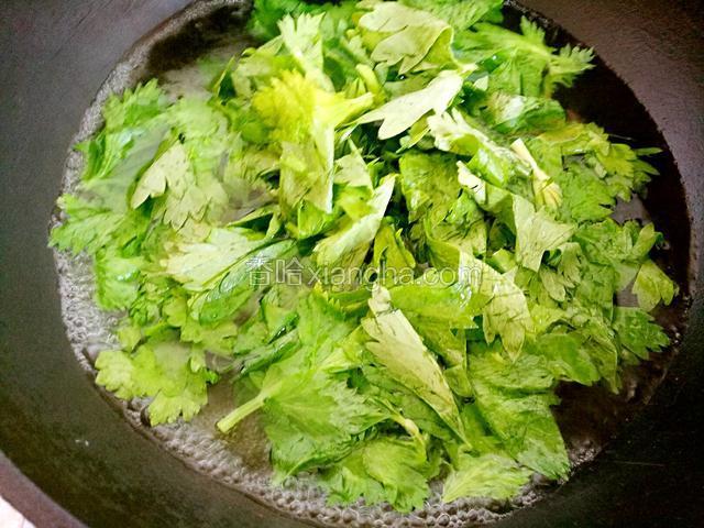 锅中烧开水下芹菜叶焯熟
