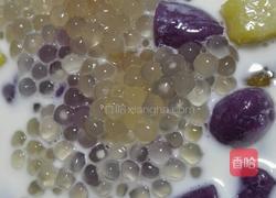 牛奶芋圆西米露的做法图解10