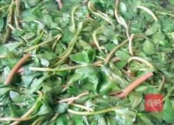 凉拌马齿苋的做法图解5