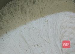 卷心菜肉包的做法图解8