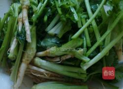 绿豆芽炒香菜的做法图解2