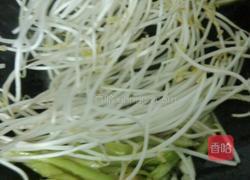 绿豆芽炒香菜的做法图解4