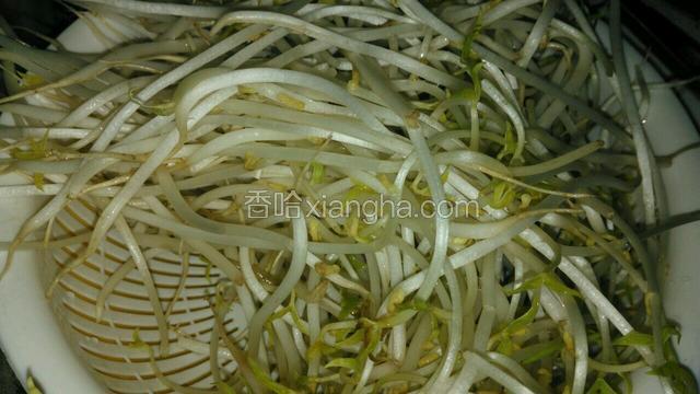 绿豆芽洗干净控干水