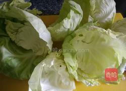 卷心菜包肉肉的做法图解1