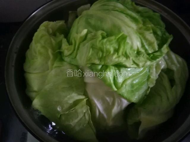 水滚把卷心菜叶子入锅煮一阵子，直至菜叶变色，变软熟了，捞出来控干水，备用