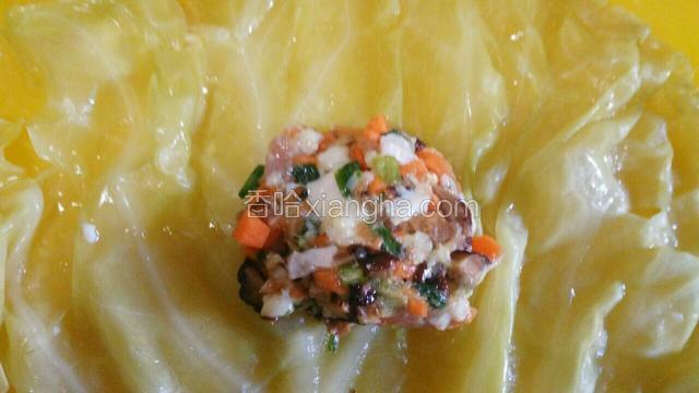 放一块肉馅上卷心菜叶子中间