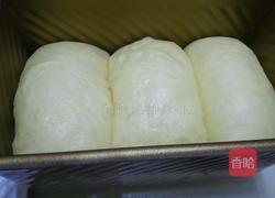 玫瑰酱牛奶土司的做法图解10