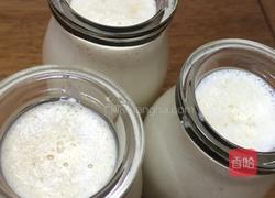 苹果奶昔的做法图解5