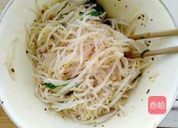 凉拌绿豆芽菠菜粉丝的做法图解8