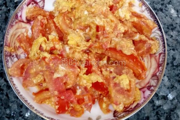 西红柿炒蛋