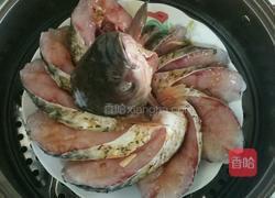 孔雀开屏的做法图解7
