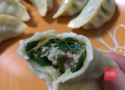 韭菜猪肉饺的做法图解8