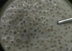 椰汁香芋西米露