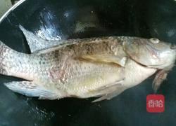 罗非鱼汤的做法图解2