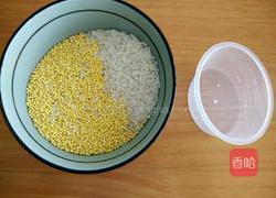 小米淮山咸骨粥的做法图解3