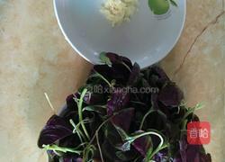 蒜蓉炒笕菜的做法图解1