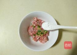 白萝卜肉圆汤的做法图解5