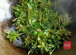 炒花椒尖的做法图解3