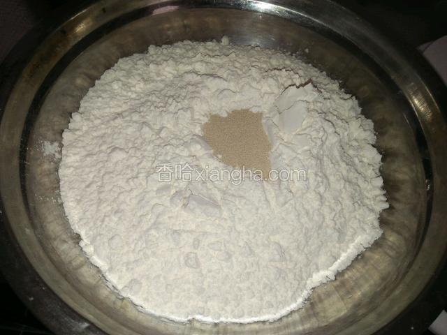 面粉加酵母