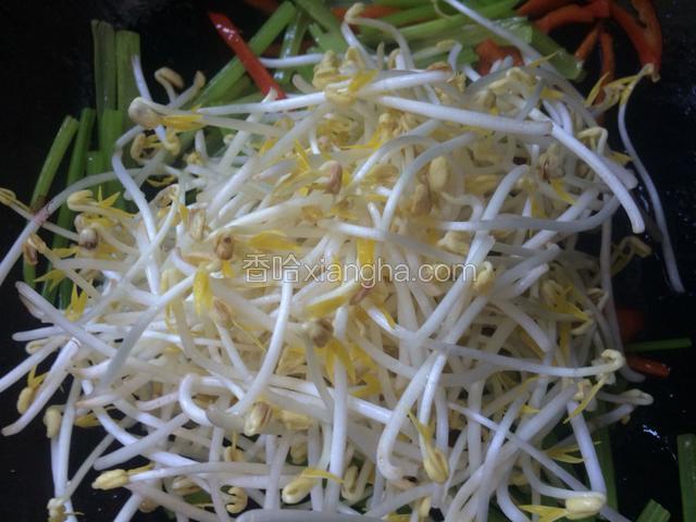 随后将绿豆芽也倒入锅中，大火翻炒至断生