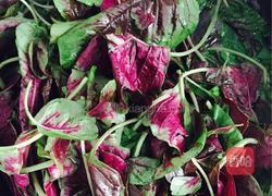 红笕虾米菜盒子的做法图解1