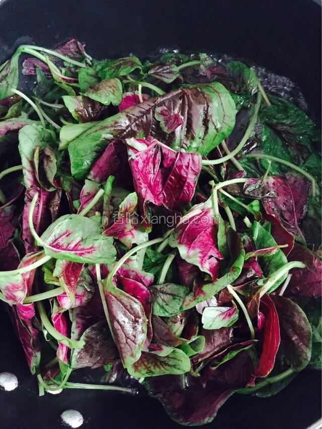 新鲜的红笕菜，放入开水里焯水