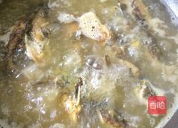 黄骨鱼番茄汤的做法图解6