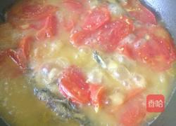 黄骨鱼番茄汤的做法图解7