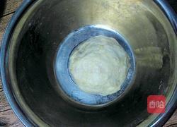 奶香披萨胚(自制披萨皮)的做法图解6