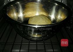 奶香披萨胚(自制披萨皮)的做法图解7