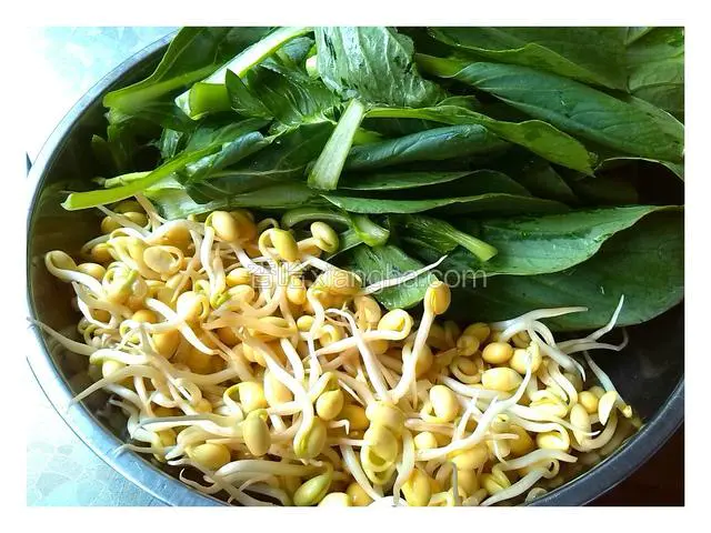青菜去根洗干净，豆芽去皮洗净