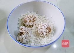 猪肉大米丸子的做法图解4
