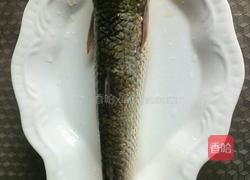 清蒸鲥鱼的做法图解1