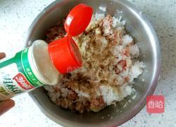 白萝卜丝豆渣肉丸子的做法图解9