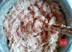 白萝卜丝豆渣肉丸子的做法图解17