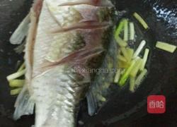 平菇鲫鱼汤的做法图解4