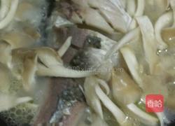 平菇鲫鱼汤的做法图解6