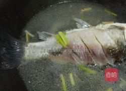 平菇鲫鱼汤的做法图解5