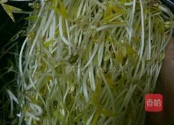 自制豆芽的做法图解11