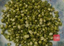 自制豆芽的做法图解2