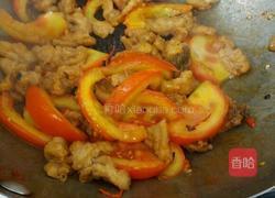 番茄炒油渣的做法图解9